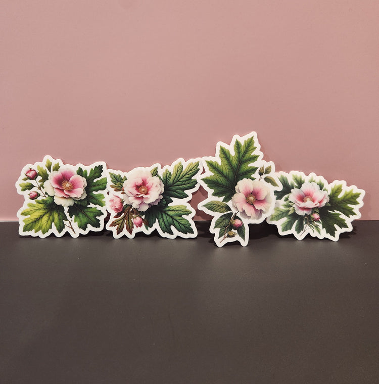 Set of floral stickers on a dark surface with a pink background - mugunghwa and oak leaf botanical design - 4 diecut designs