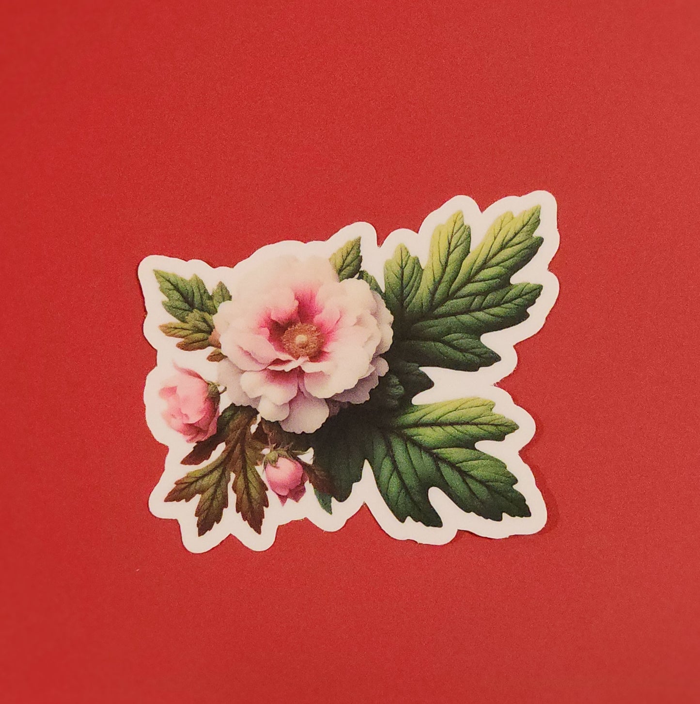 Floral sticker with pink flowers and green leaves on a red background - mugunghwa and oak leaf botanical design - 4 diecut designs