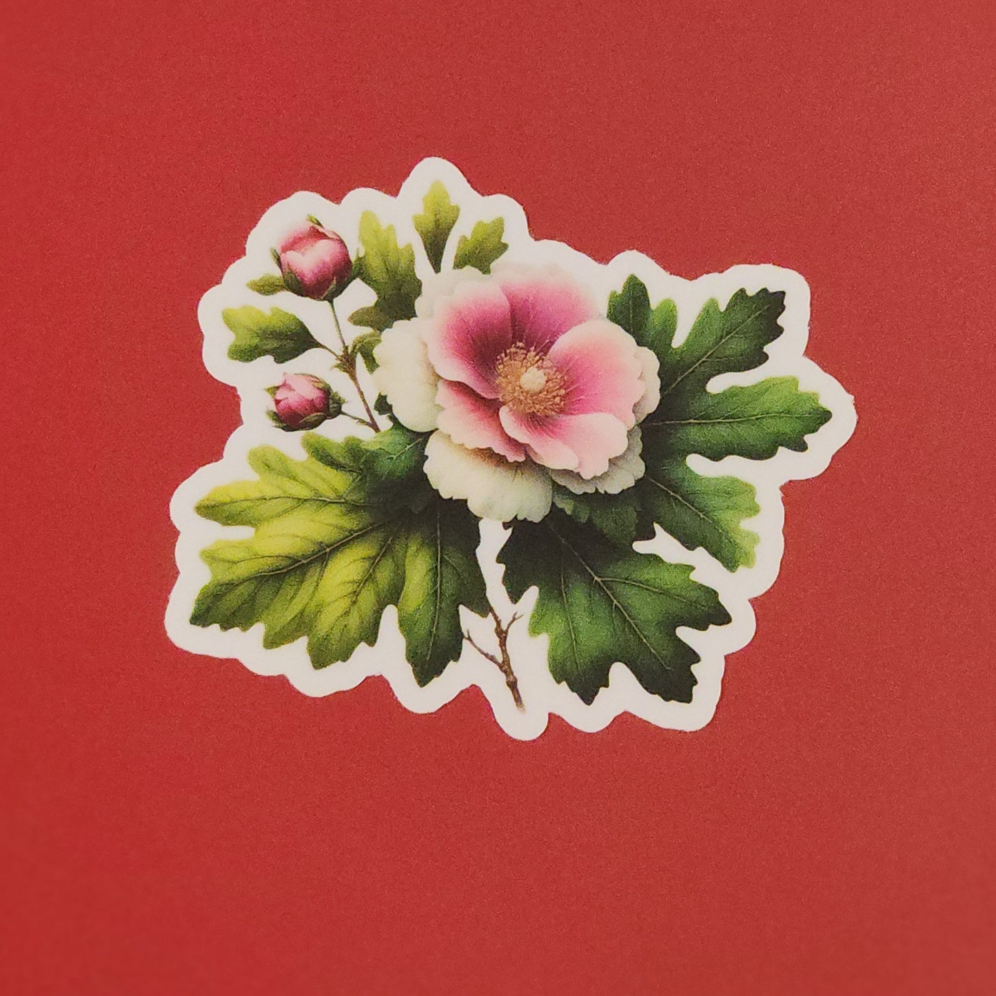 Sticker of a pink flower with green leaves on a red background - mugunghwa and oak leaf botanical design - 4 diecut designs