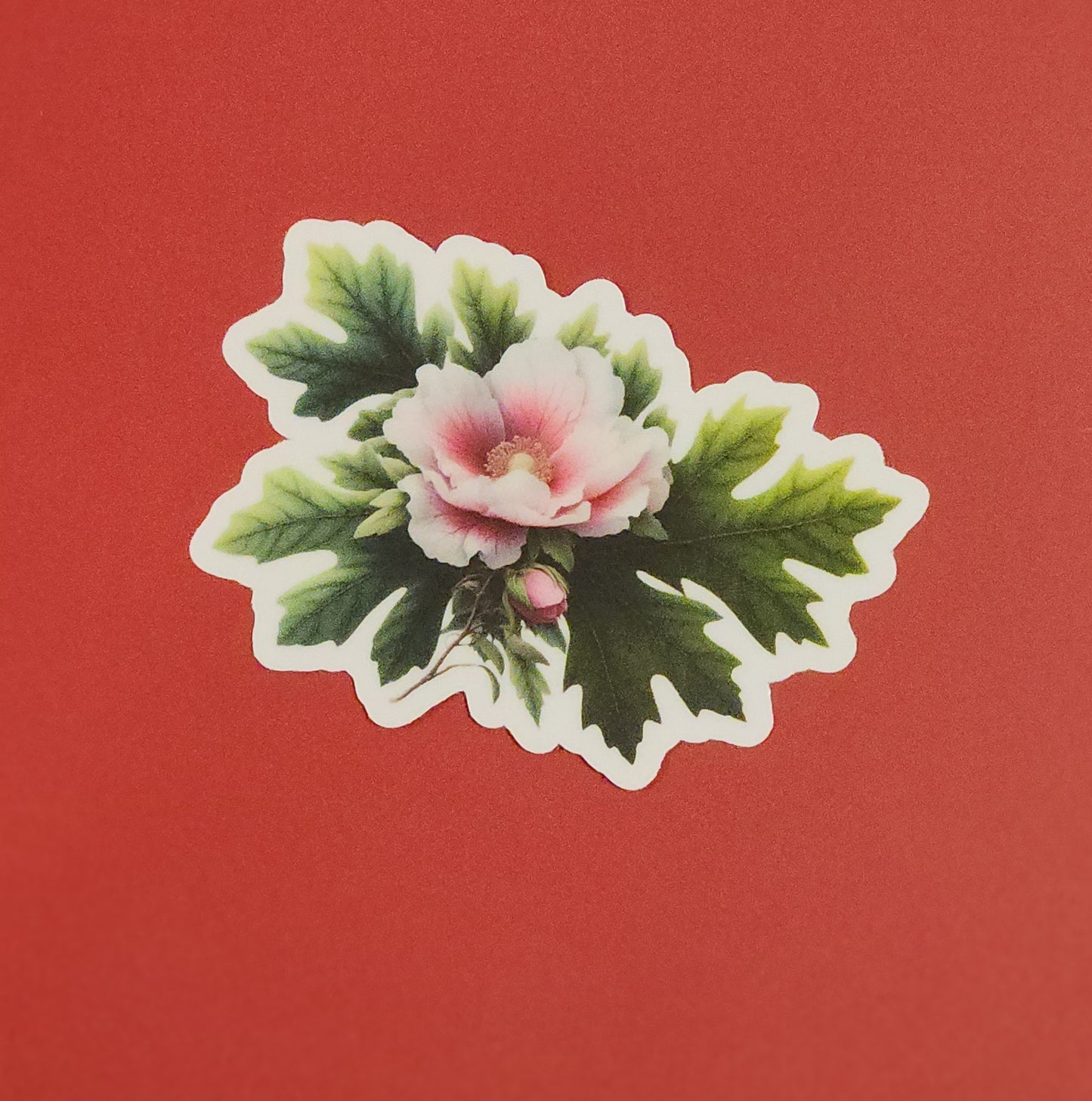 Floral sticker with pink flower and green leaves on a red background - mugunghwa and oak leaf botanical design - 4 diecut designs