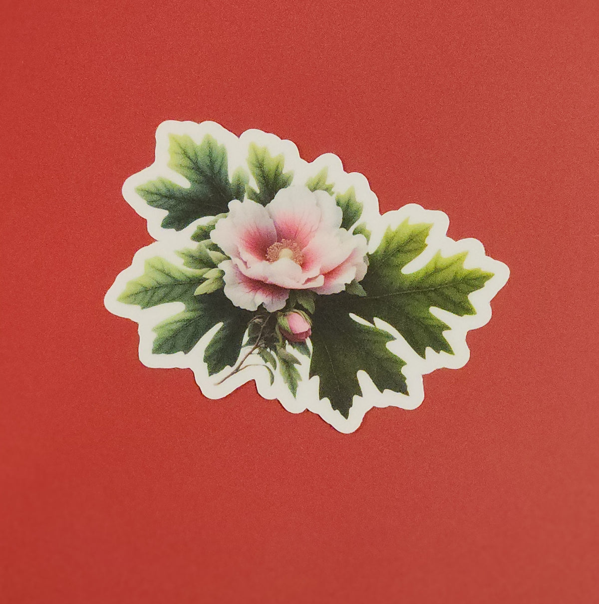 Floral sticker with pink flower and green leaves on a red background - mugunghwa and oak leaf botanical design - 4 diecut designs