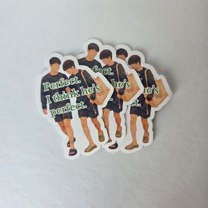 Jimin & Jungkook "Perfect" Sticker (3" height)