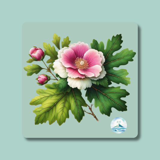 Floral design with pink and white flowers and green leaves on a light blue background - mugunghwa and oak leaf botanical design - square magnet